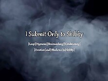 [Brainwashing Loop] I Submit Only to Shibby