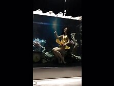 mermaid in fish tank
