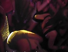 Upskirt Dance Club in South Florida