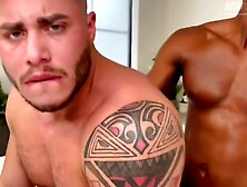 Horny Sex Movie Homo Hardcore Hot Will Enslaves Your Mind