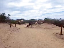 Lilys Adventure Big Shock In The Middle Of The Dunes Hoe 2