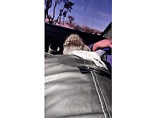 Suck the head of that weenie