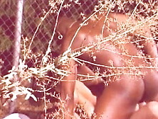 Big Man Ray(pick#1491)