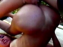 Sophisticated cocotte's transgender porn