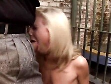 Older Pig Kinky Mind