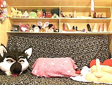 sofi mora Fucking on live webcam