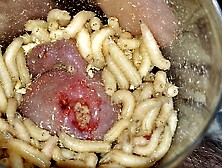 Maggots in urethra
