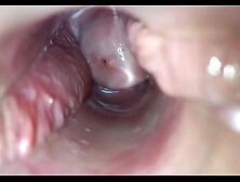 Pulsating cumming inside pussy