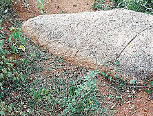 Alone Boy Jerking In Forest