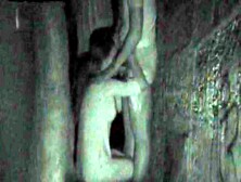 Public Sex Blowjob In Night Vision