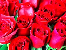 Bangla choti golpo beautiful aunty midnight fuck by neighbour uncle in bedroom full story in Bangla