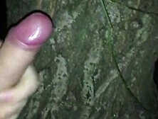 Solo Masturbation In The Woods