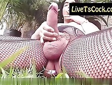 Excellent Outdoor Tranny Jack Off And A Log In Her Anus