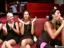 Teddy Bear Head On The Stripper