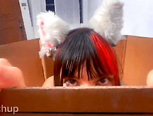 A GATINHA QUER SEU LEITINHO