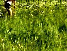 Sultry Nights and Scorching Dreams