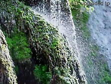 See me touch my twat in this green forrest