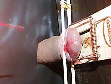 Cock Torture Mousetrap And Hot Wax