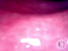 ???? INSIDE BEHIND SELF PERSPECTIVE: The Eggs disappeared in the hole... ???? - Preview