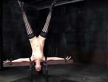 Cantilever Love - Endza Adair