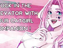 [F4M] stuck in the elevator with your catgirl companion [ASMR roleplay] [suzyqlewd]