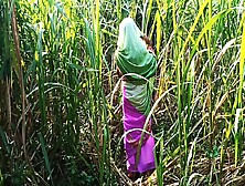 Man's Friend Went To Meet The New Daughter-In-Law In The Sugarcane Field.  Daughter-In-Law Was To Fuck By A Friend..