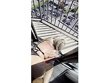 *VIEWS ON VIEWS ON VIEWS* pawg CHLOE BLACC taking biggest BBC backshots on the balcony and loving it!