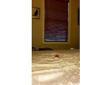 Girl spanks herself and insert brush anal