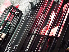 3 hoes moan loudly while getting their holes plowed