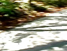 "Busty Bombshell Babes - Old Man Fucks Young Blonde Hardcore"