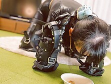 Vibrator Play and Meal Time