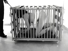 Bondage Twat Tortured And Caged - Real Homade Bdsm