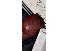 Feed cockroaches meat stick snacks