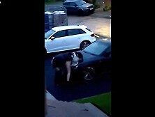 Caught Neighbors Fucking On Hood Of Car