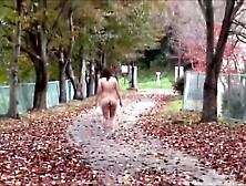 Japanese exibitionist