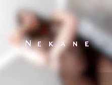 Nekane 2