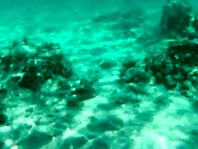 My bare diving on a public beach - rate what I can do underwater