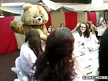 Dancing Bear featuring baby doll's striptease dirt