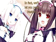 Nekopara Joi