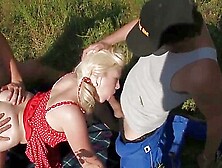 Swedish Summer Party