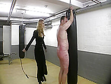 Bullwhip Punishment