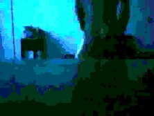 Stashing Smartphone To Record Wifey Ravaging Neighbor