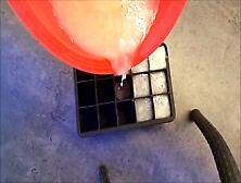 Making Over 700 G Of Sperm Cubes! - Frozen Sperm