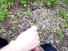 Mother-in-law Sucks My Dick in a Park and Swallows Hot Cum