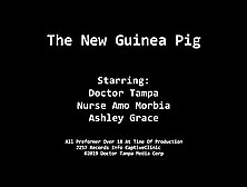 The New Guinea Pig - Alexis Grace