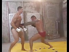 Fernando Nielsen V Chris Stone