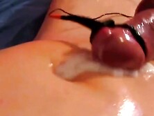 Oiled Cock Electro Stimulation.