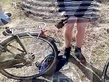 How we,  adult chick cycle