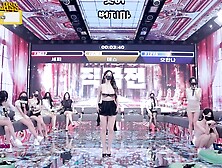 Korean BJ Panda Class