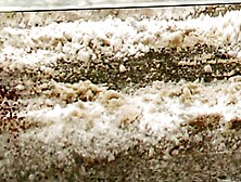 White Jigglers Overrun (HNY 2025/26)